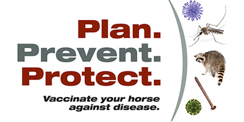 AAEP Vaccination